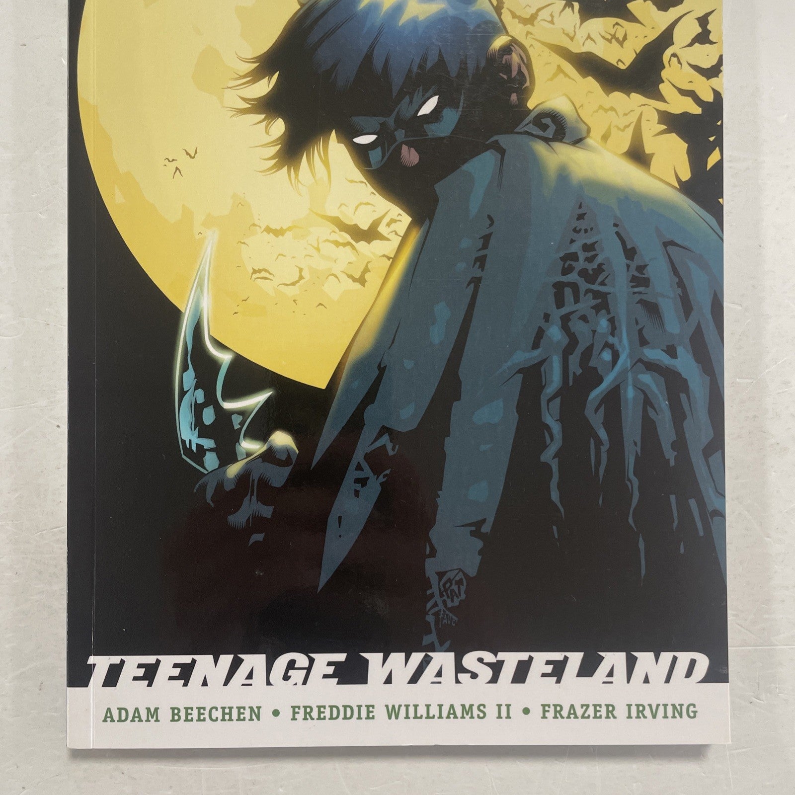 Robin Teenage Wasteland 2007 TPB Trade Paperback Graphic Novel2