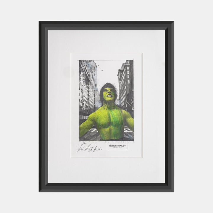 The Hulk: Avenging An Injustice by Robert Bailey (Signed by Lou Ferrigno)