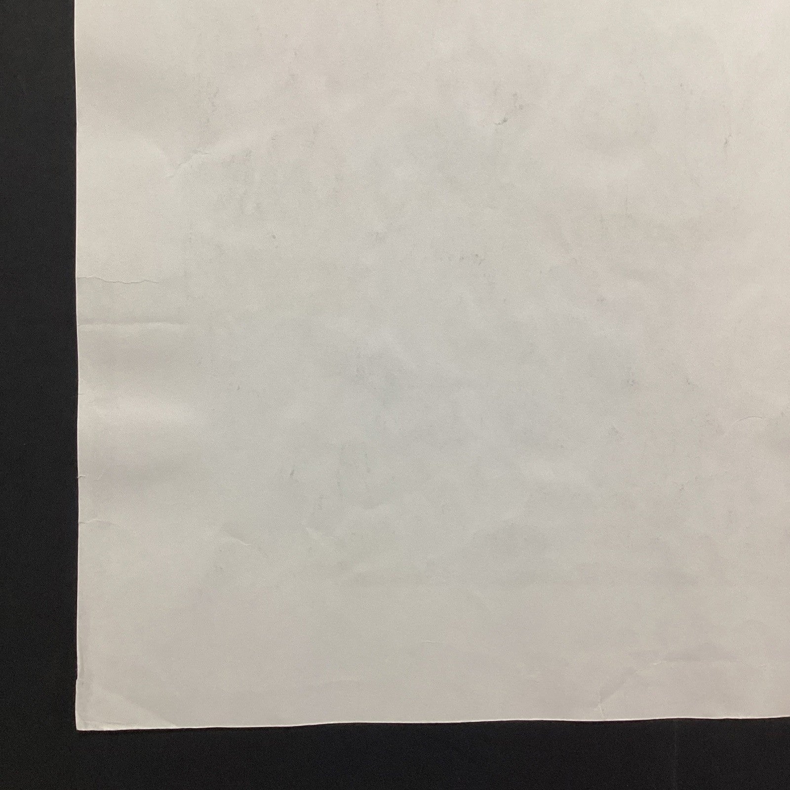 46021298