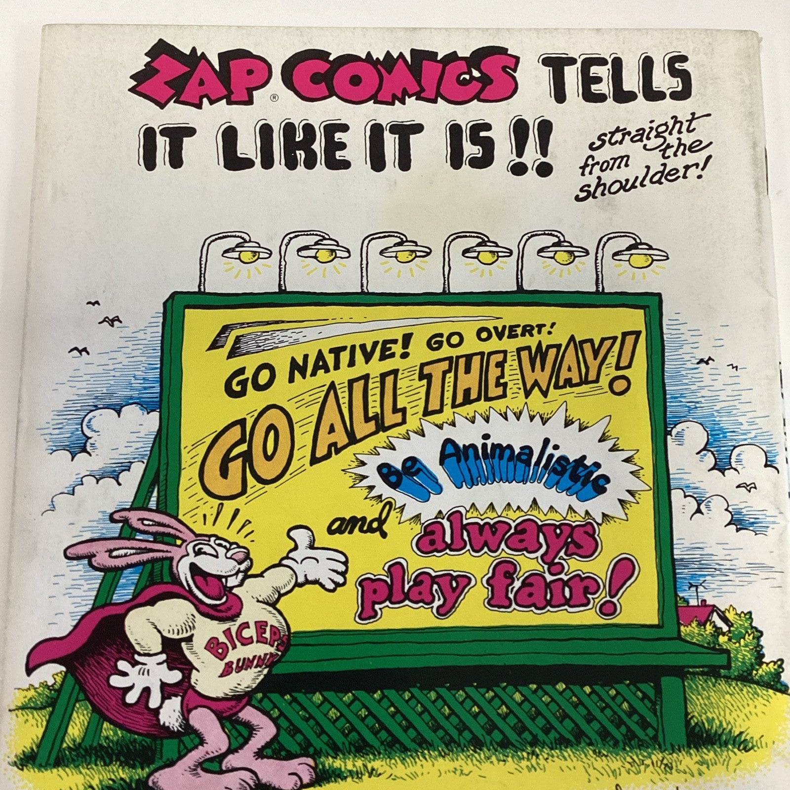 Zap Comix #2 1968 6/7th Print **appears o be 6th or 7th print based on the price5