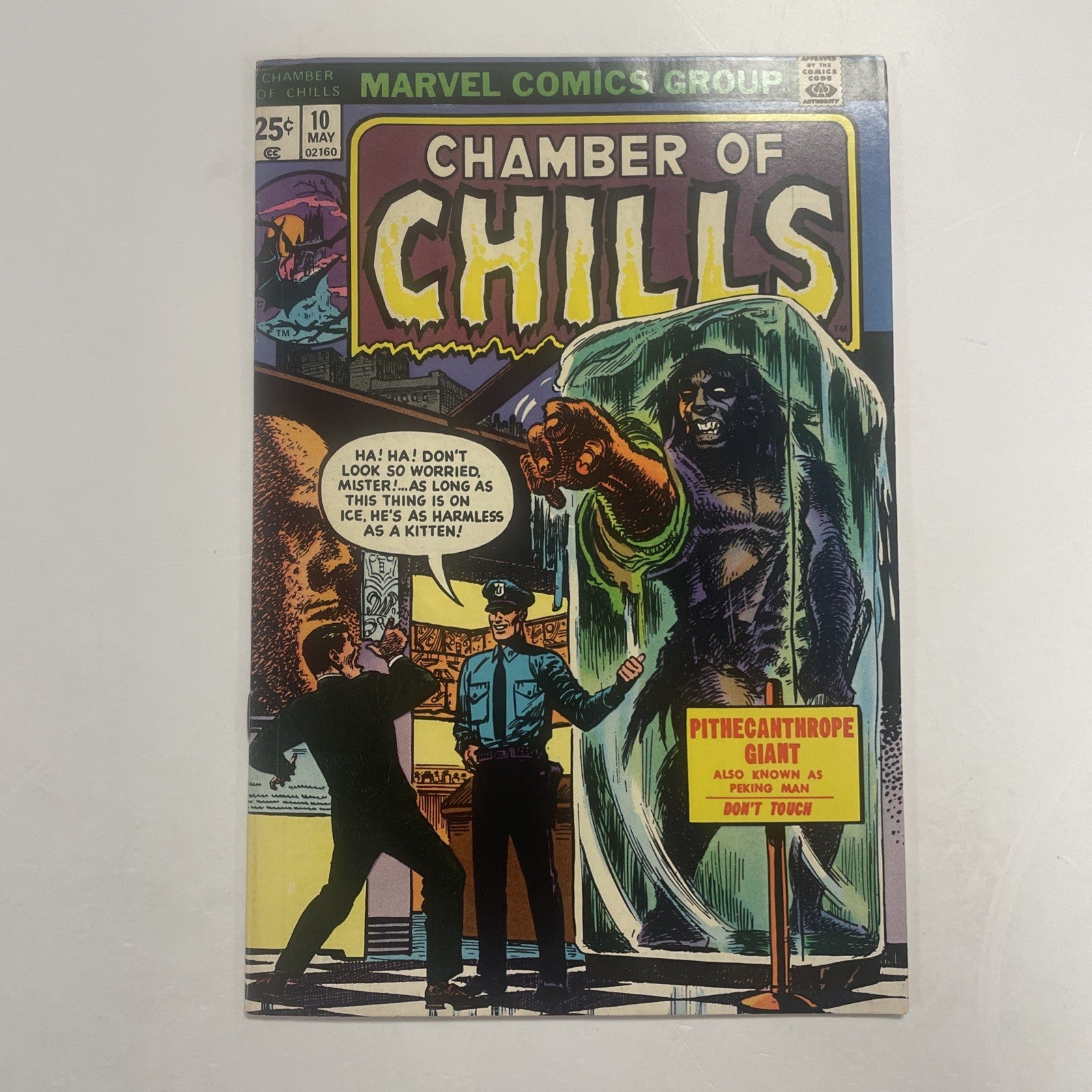 Chamber of Chills #10 1974 FN/VF0