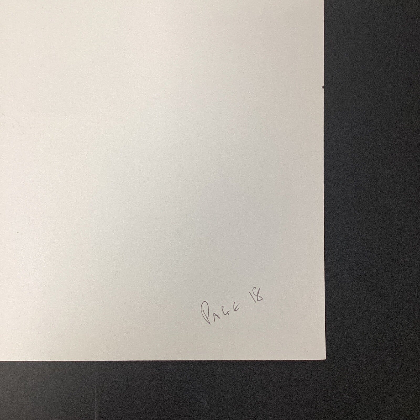 45106955
