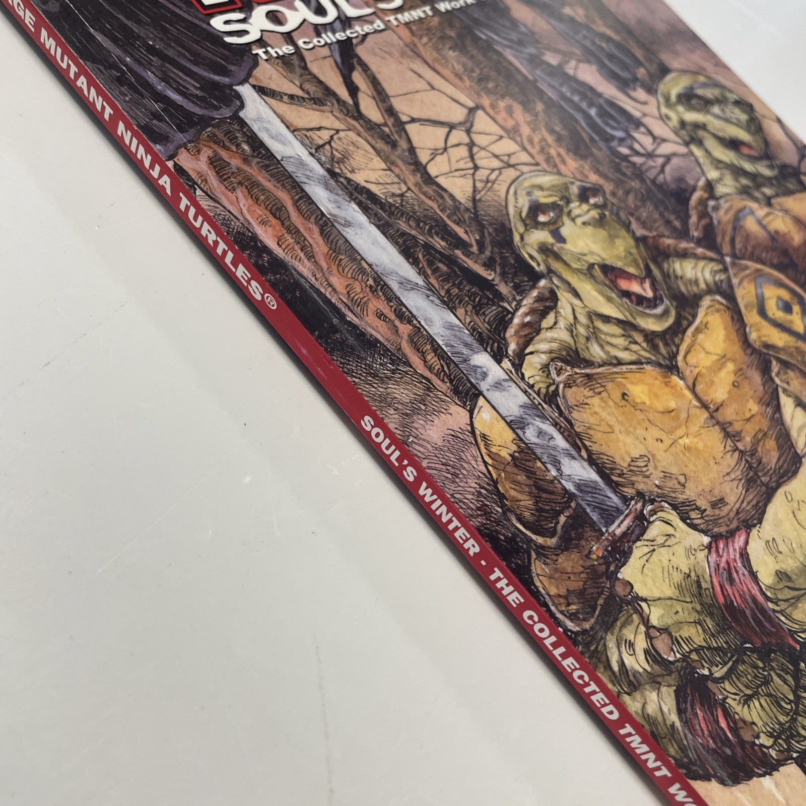 Teenage Mutant Ninja Turtles Soul's Winter 2007 Mirage Michael Zulli 1st Edition4