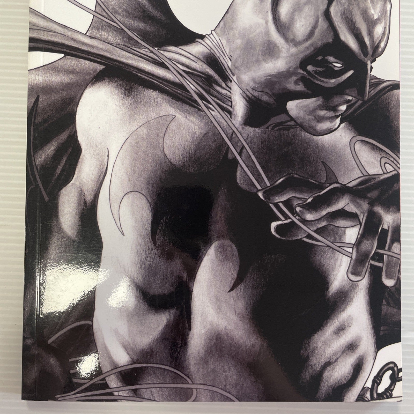 Batman: Detective 2007 TPB Paperback Graphic Novel Paul Dini DC Comics2