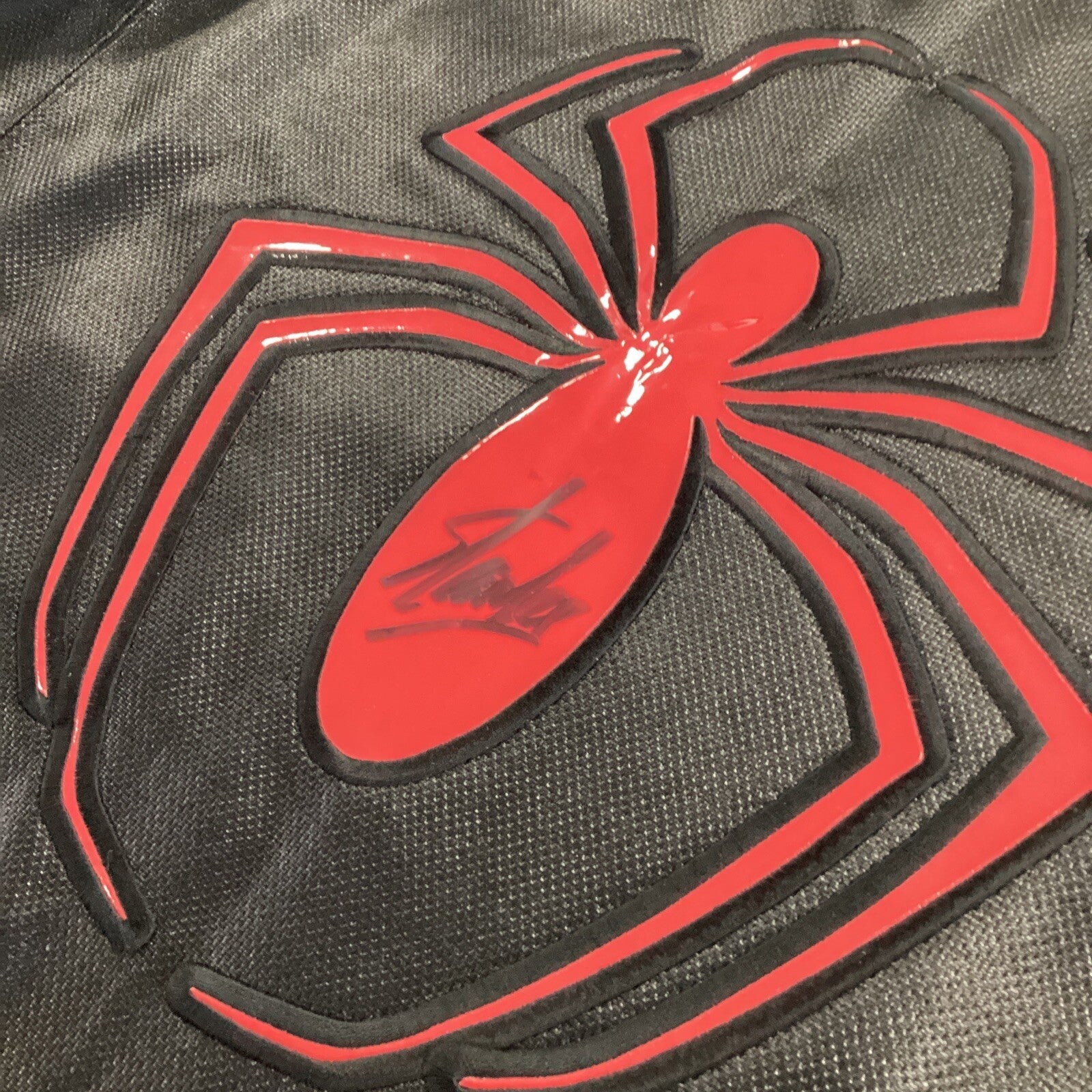 Stan Lee autographed/signed Spider-Man Jersey CoA & Photo proof Size  SDCC10