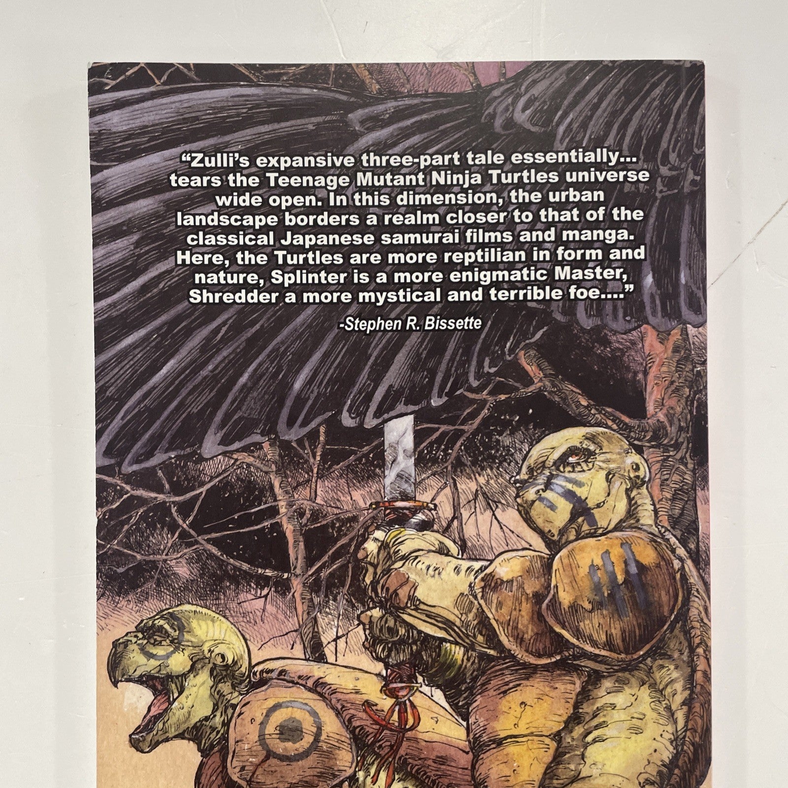 Teenage Mutant Ninja Turtles Soul's Winter 2007 Mirage Michael Zulli 1st Edition7