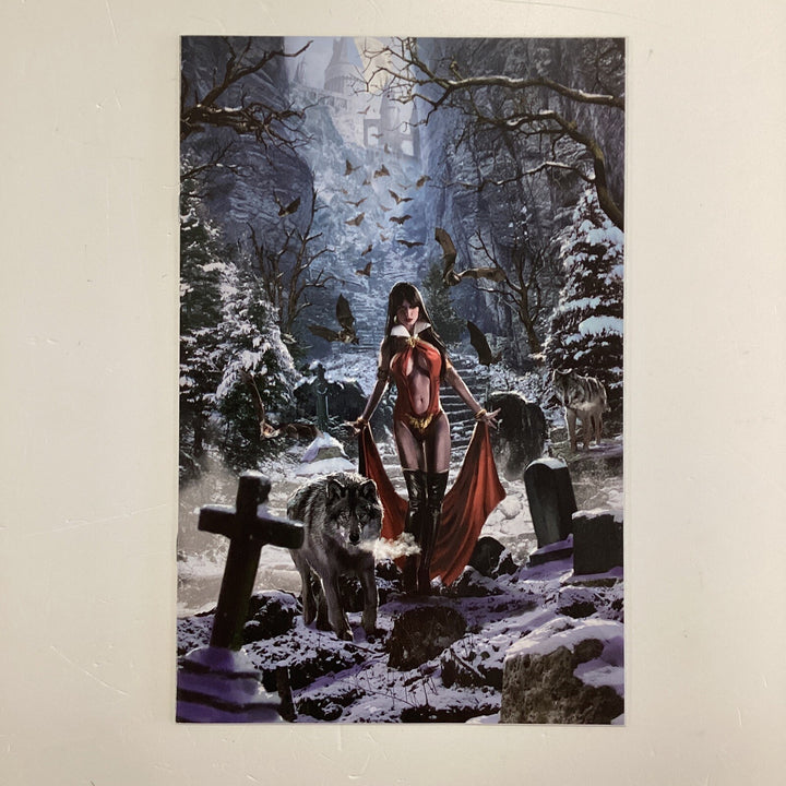 Vampirella #1 2019 NM John Gallagher Virgin Variant Cover0