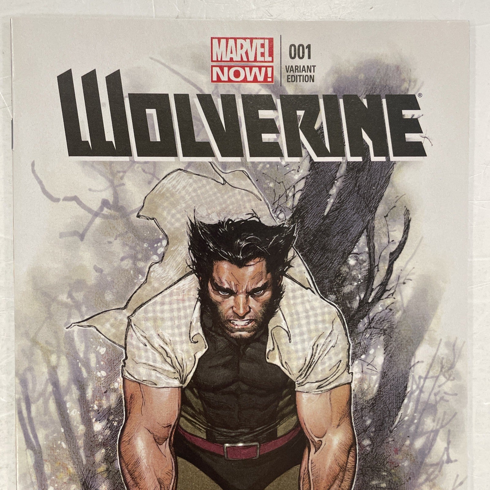 Wolverine #1 2013 VF/NM 1:50 Oliver Coipel Variant1