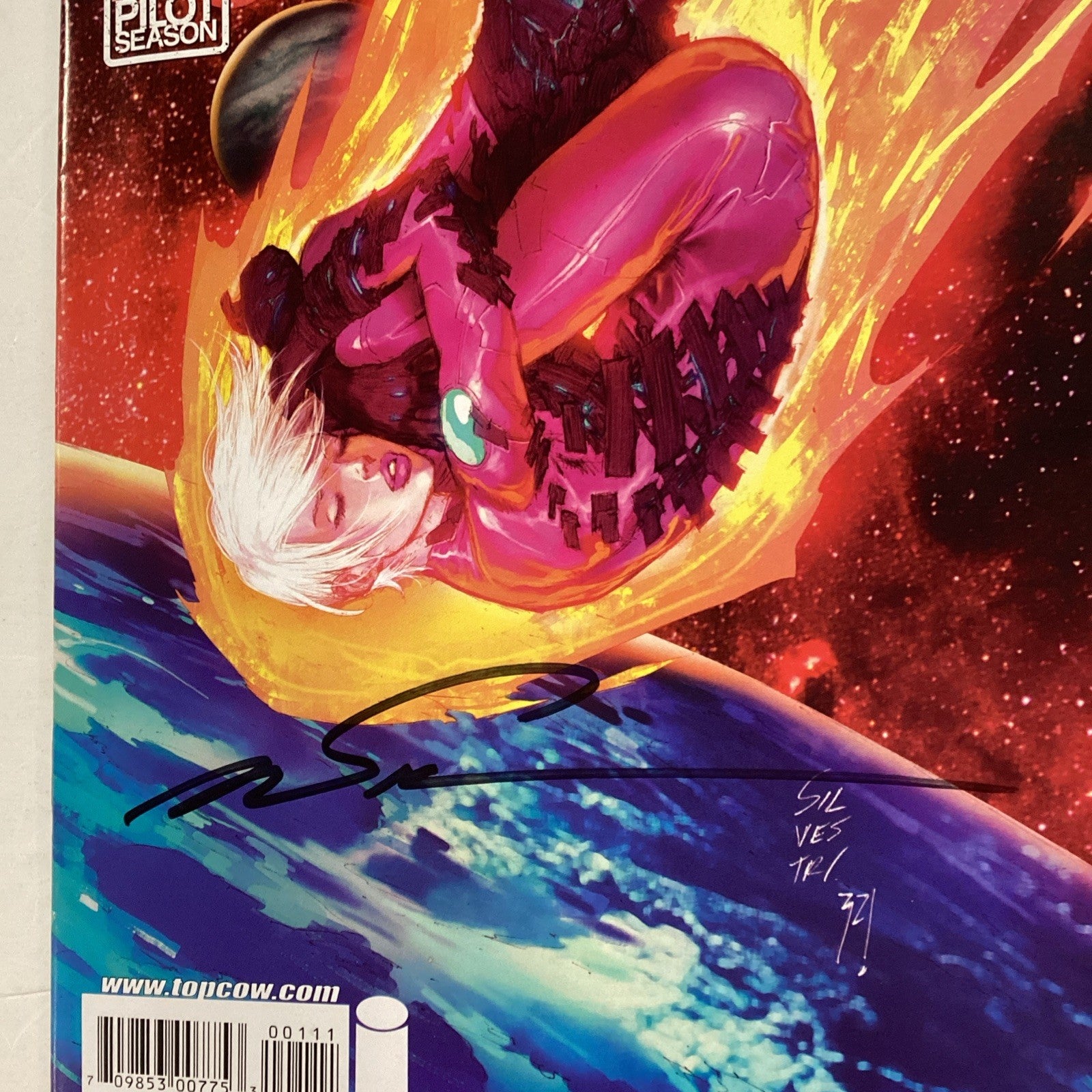 Stellar #1 2010 First Print Signed Bernard Cheng & Marc Silvestri4
