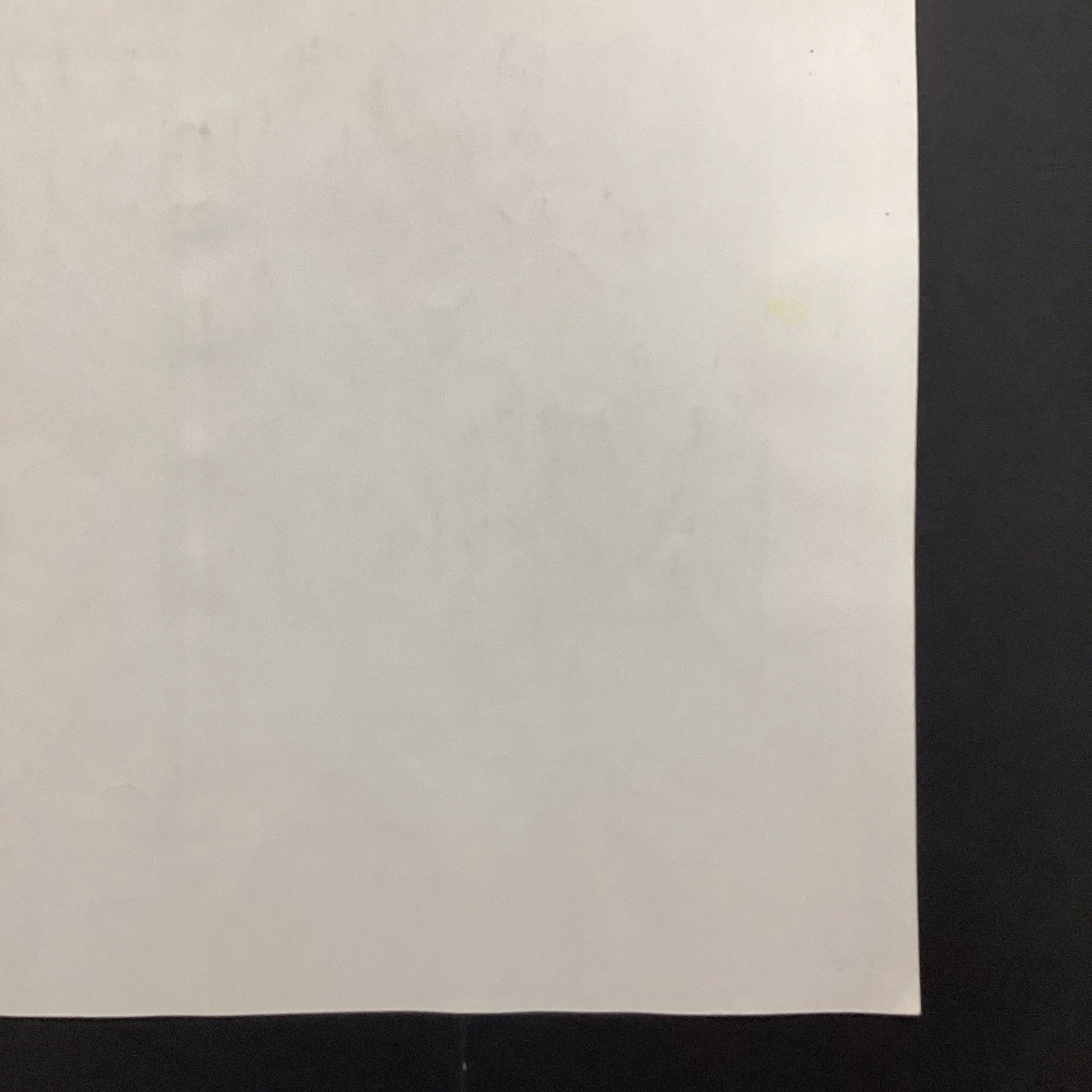 46021317