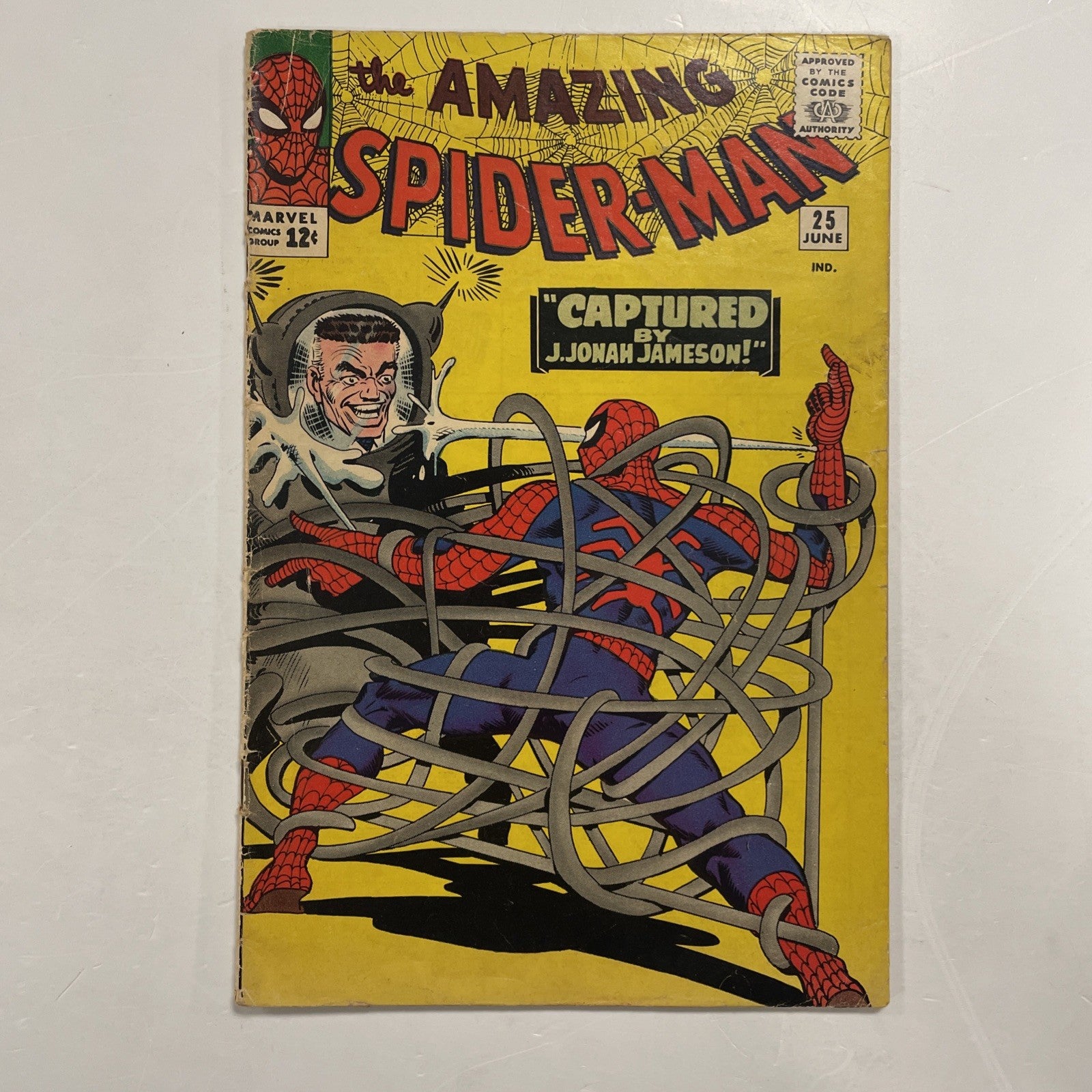 Amazing Spider-Man #25 1965 GD (presents as VG) 1st Cameo of Mary Jane Watson0
