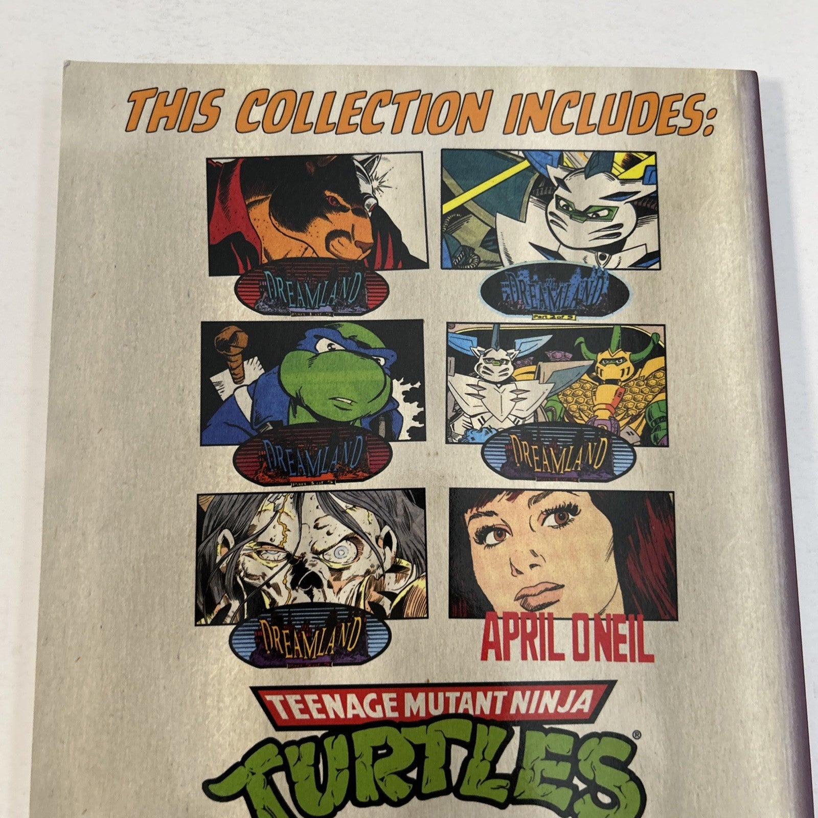Teenage Mutant Ninja Turtles Adventures Vol, 15 2018 IDW TPB 1st Print7