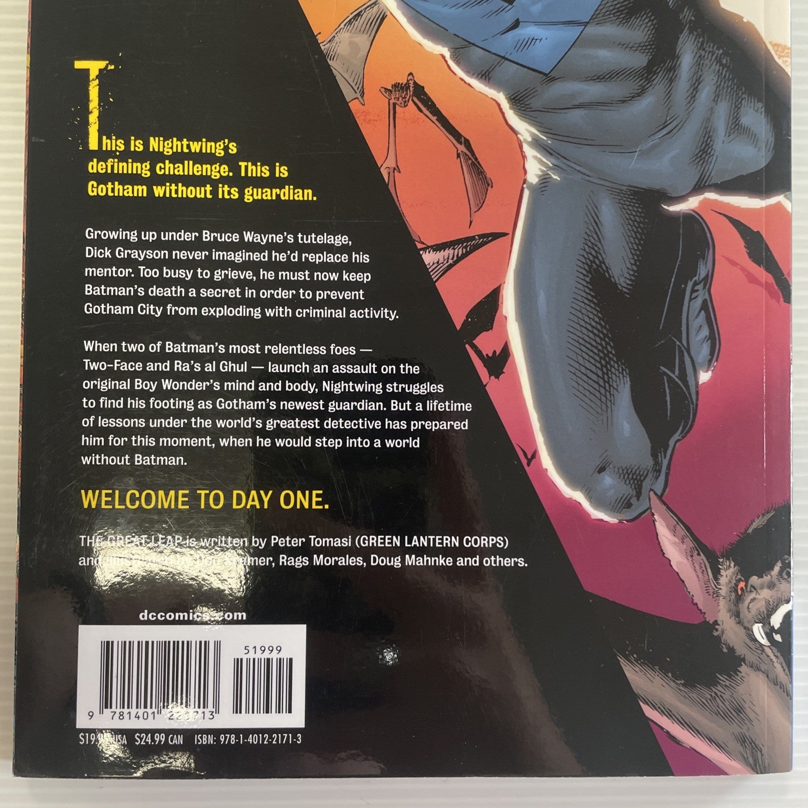 Nightwing The Great Leap 2009 TPB Trade Paperback DC Comics Peter Tomasi & Rags6