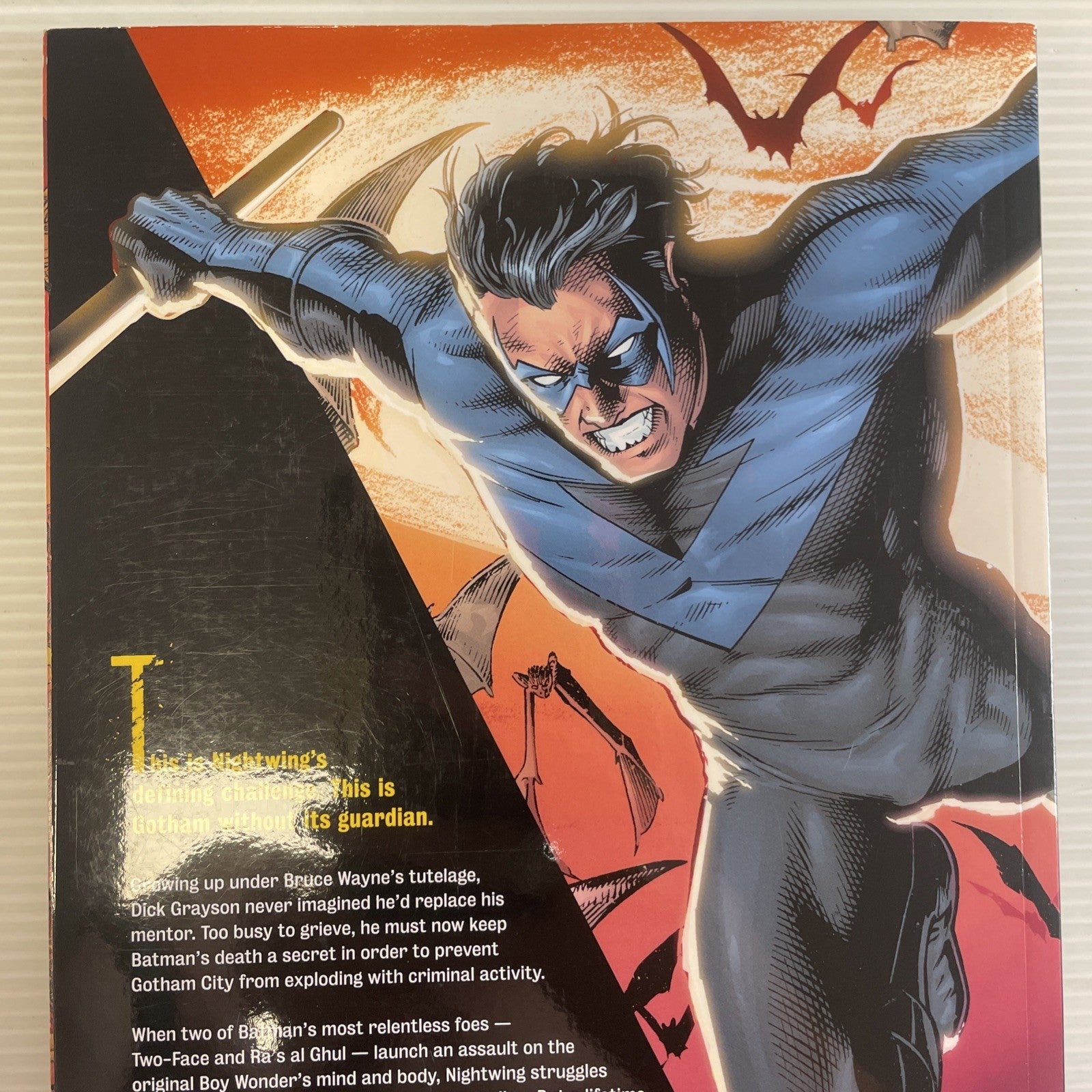 Nightwing The Great Leap 2009 TPB Trade Paperback DC Comics Peter Tomasi & Rags5