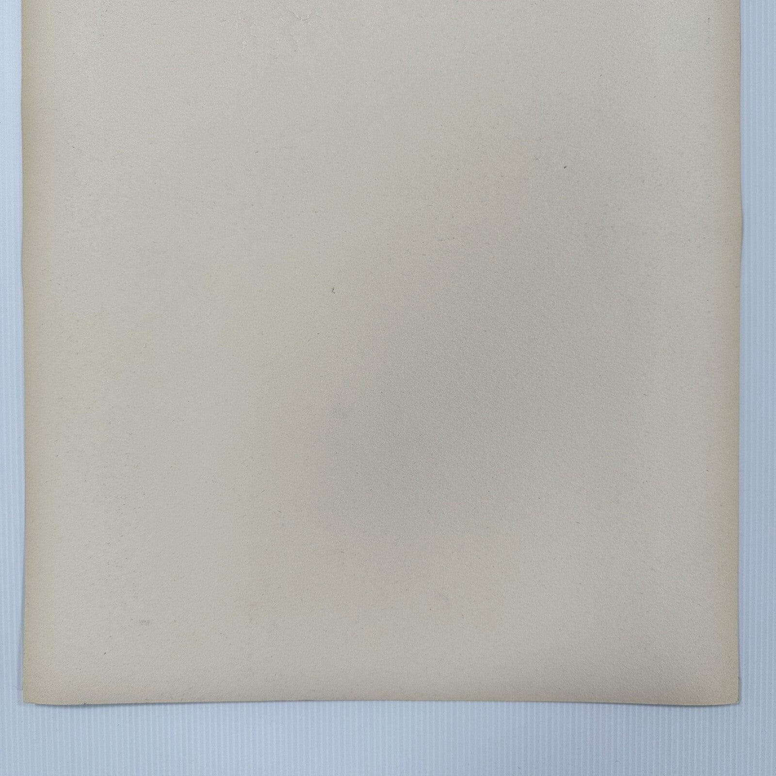 45106573
