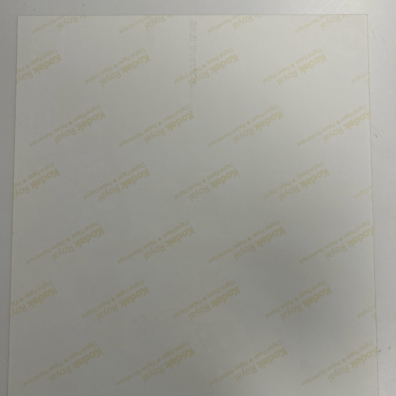45106958