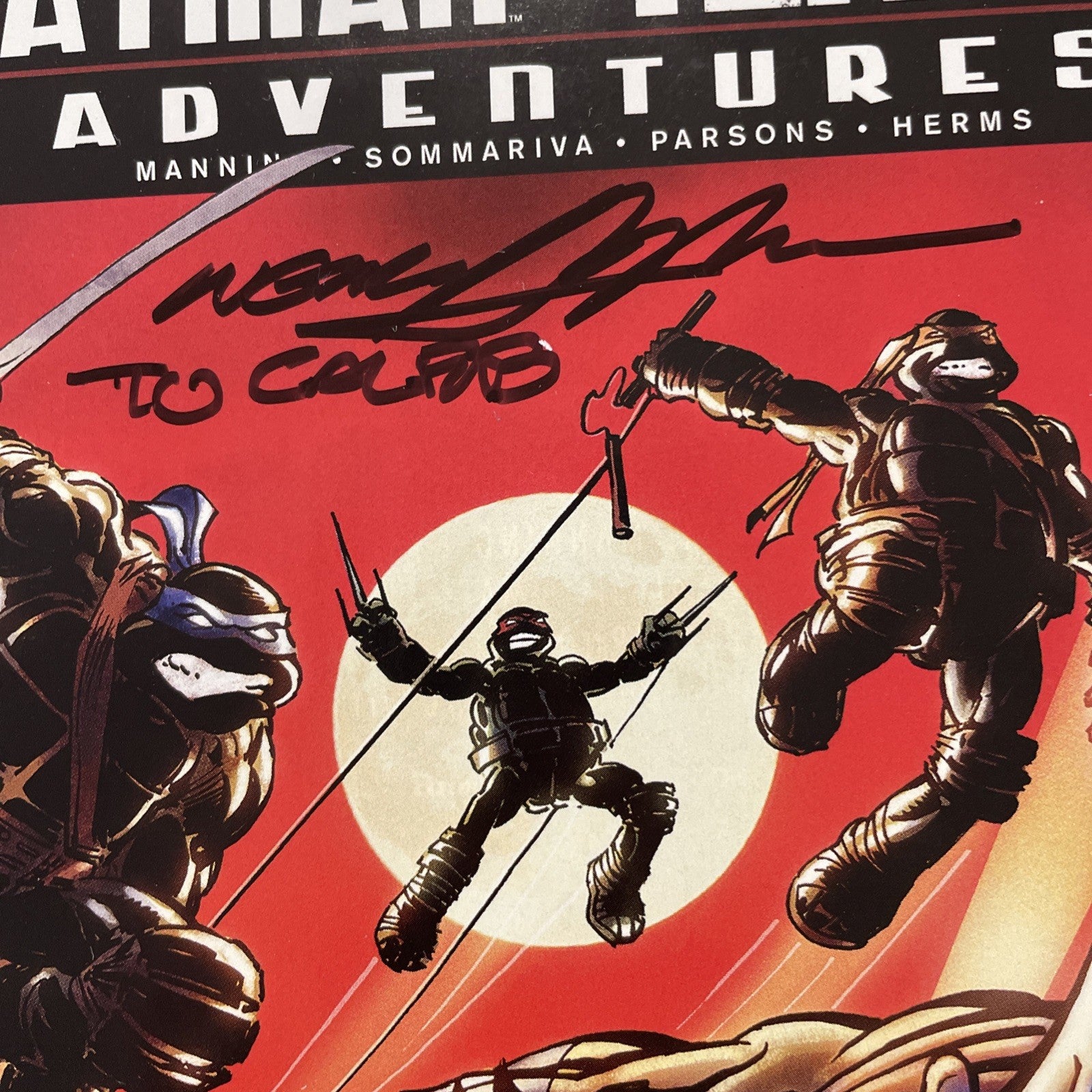 Batman Teenage Mutant Ninja Turtles Adventures #6 2017 Signed Neal Adams **3