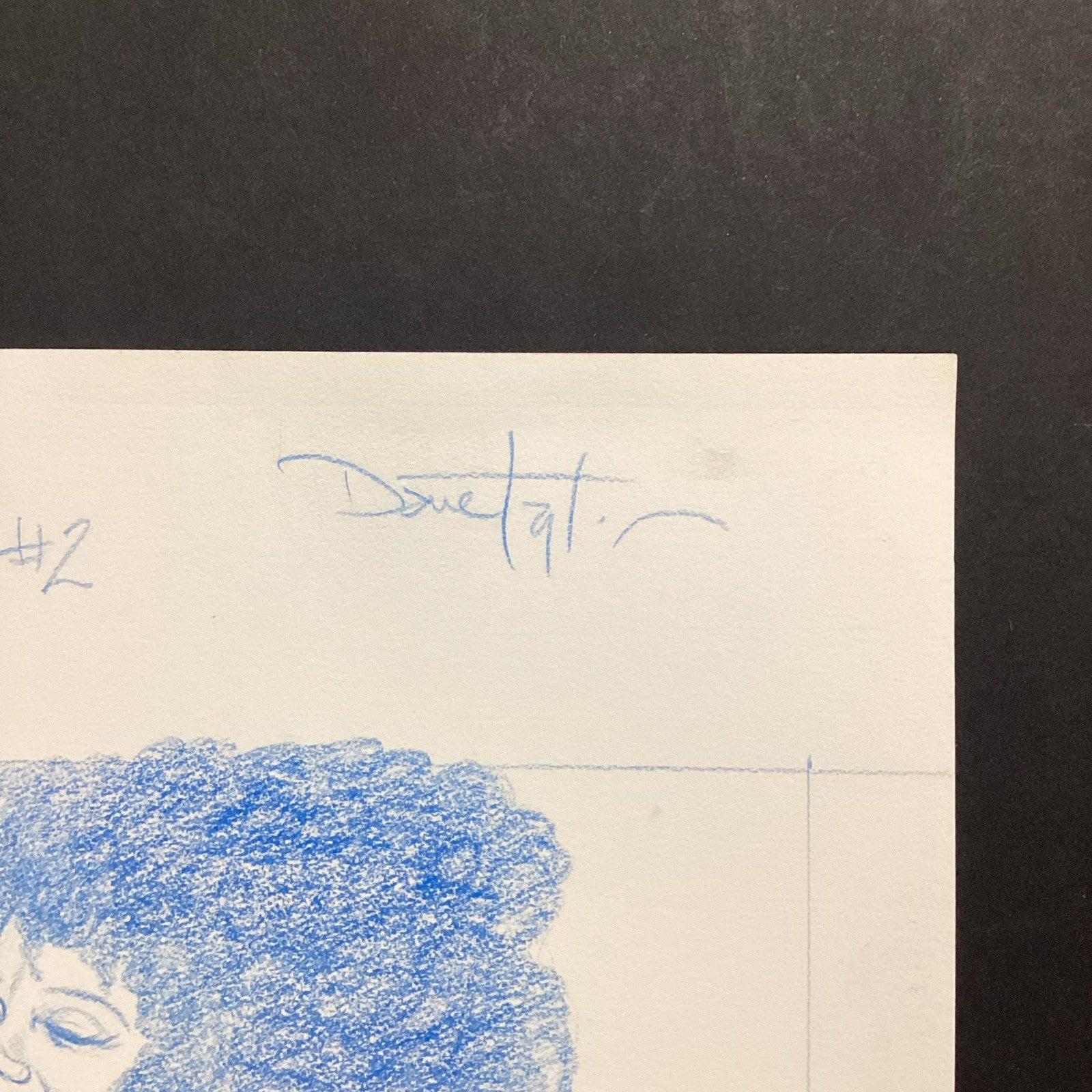 45533798