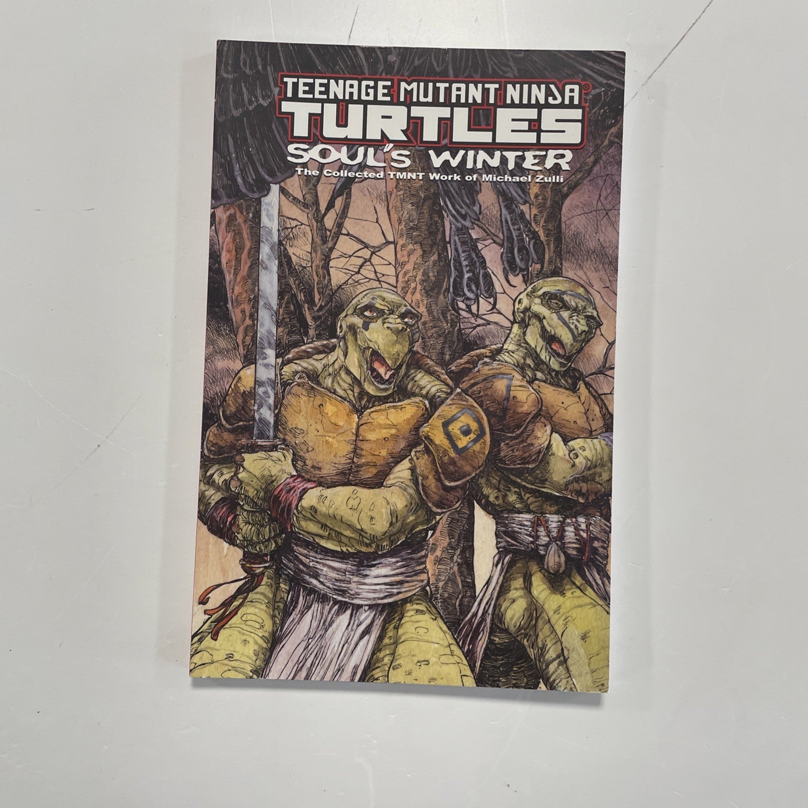 Teenage Mutant Ninja Turtles Soul's Winter 2007 Mirage Michael Zulli 1st Edition0