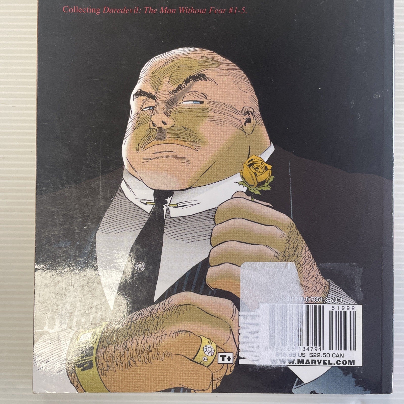 Daredevil: The Man without Fear 2010 TPB6