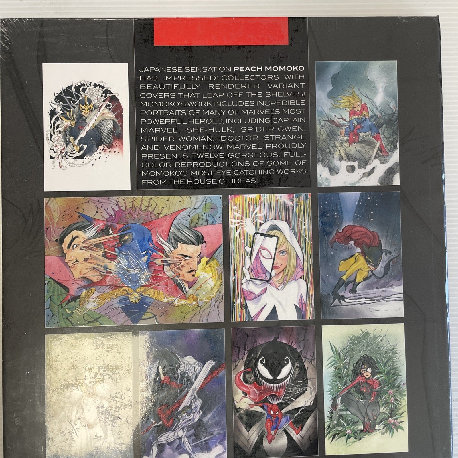 Marvel Portfolio: Peach Momoko 12 Portraits Hardcover New5