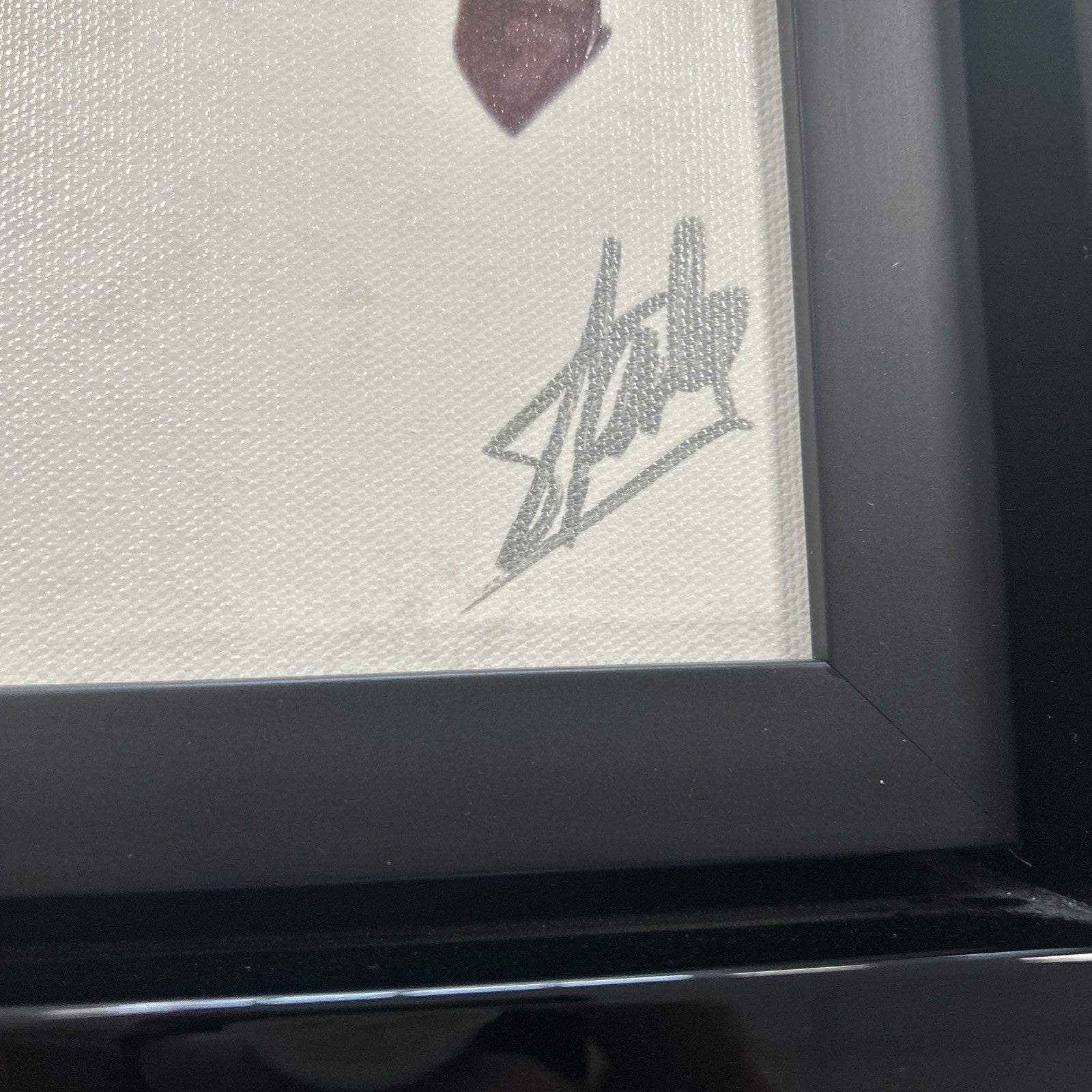45113120