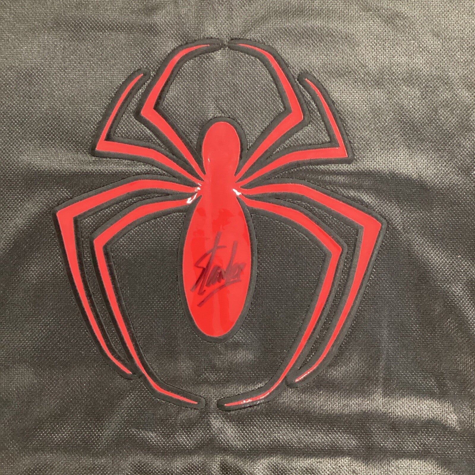 Stan Lee autographed/signed Spider-Man Jersey CoA & Photo proof Size  SDCC4