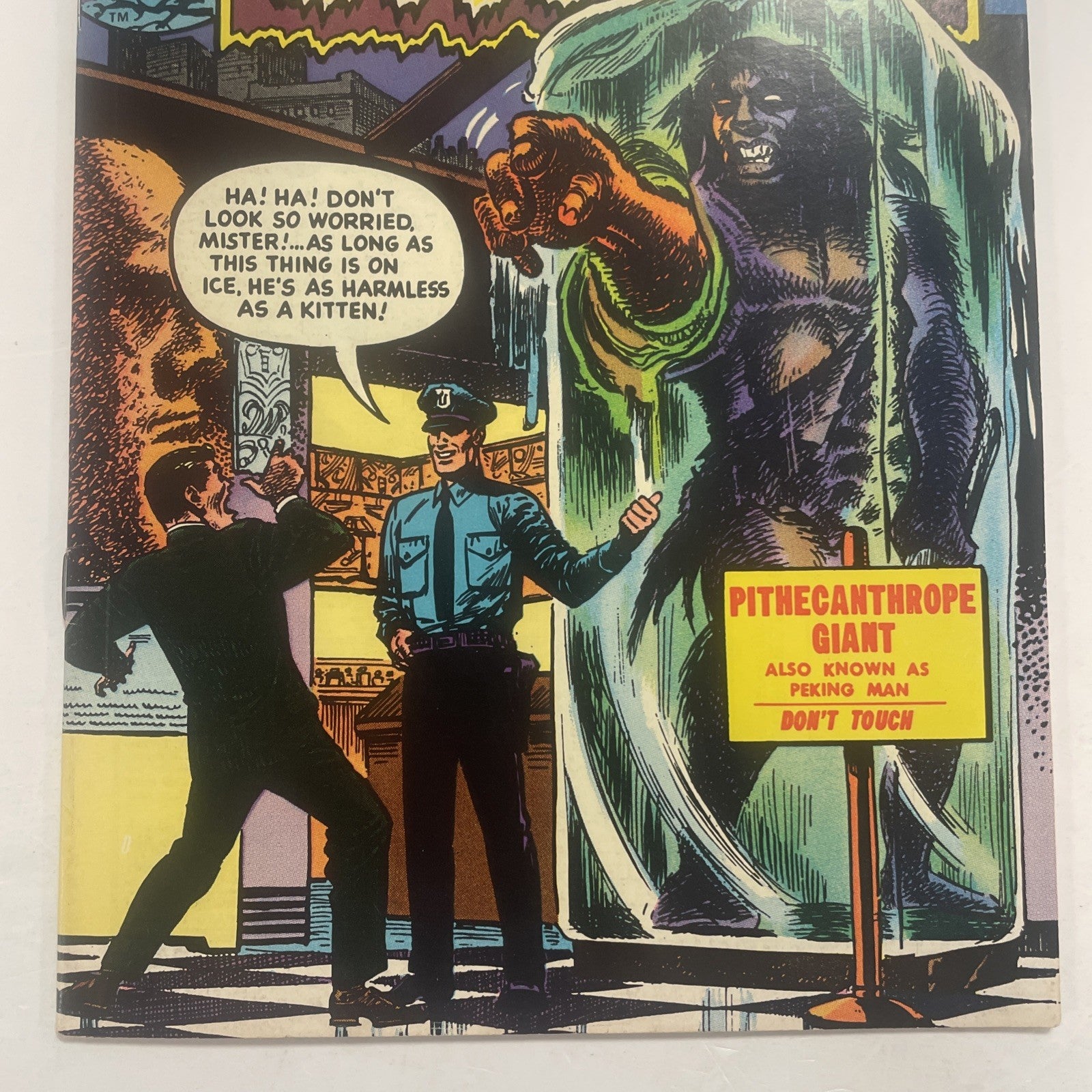 Chamber of Chills #10 1974 FN/VF2