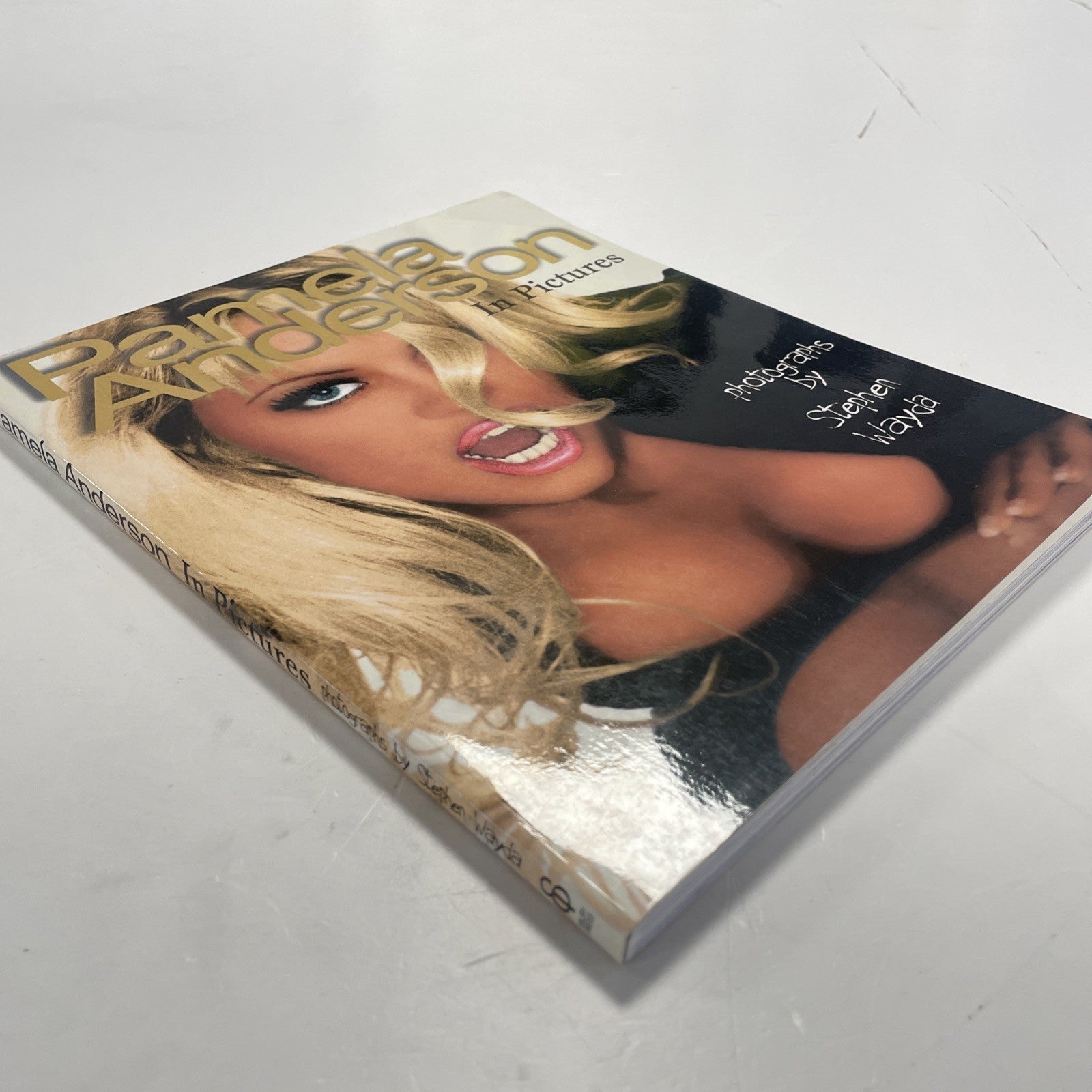 Pamela Anderson in Pictures by Stepgen Wayda Book (Softcover)3