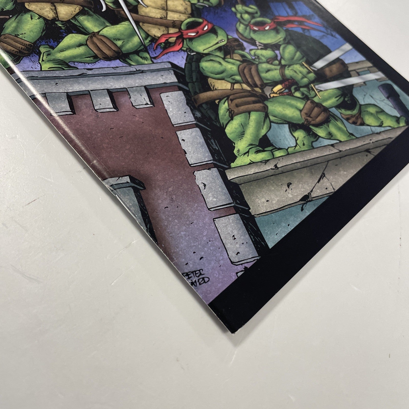 Teenage Mutant Ninja Turtles #1 2009 VF Full Colour 1st Print Mirage3