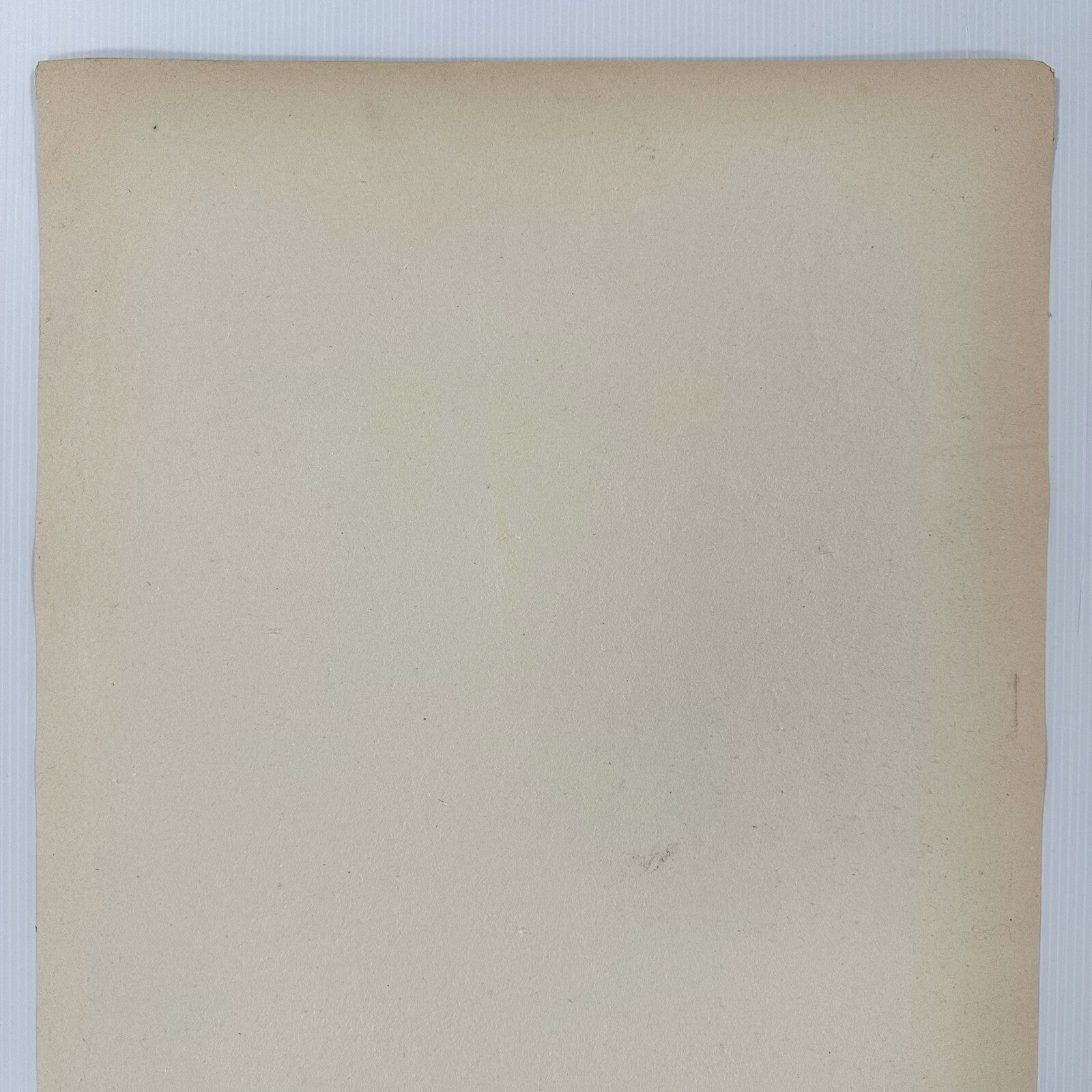 45106880