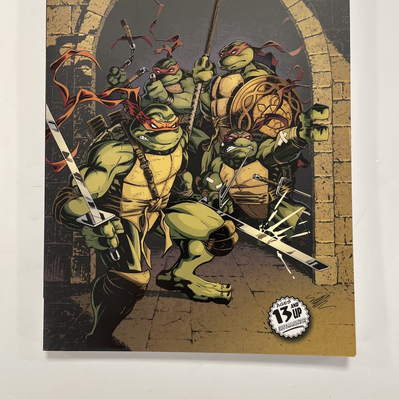 Teenage Mutant Ninja Turtles Classics Volumes 6 2013 IDW TPB2