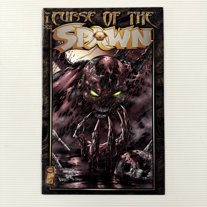 Curse of the Spawn #1 NM Raw Comic