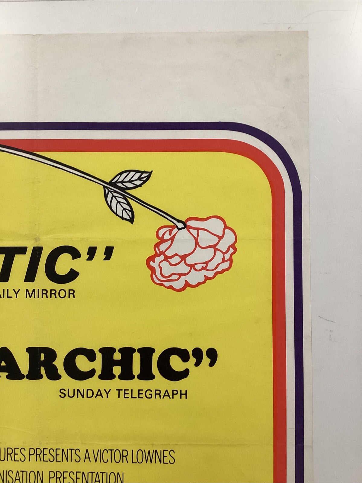 45106948