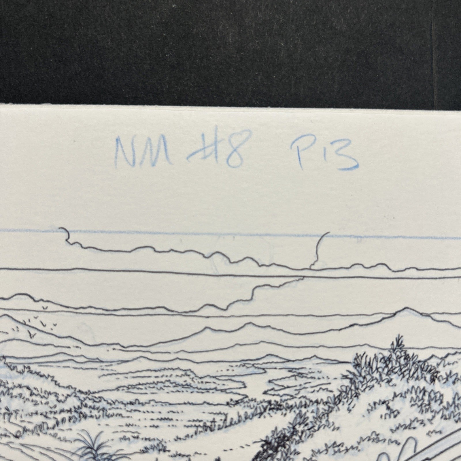 45530207