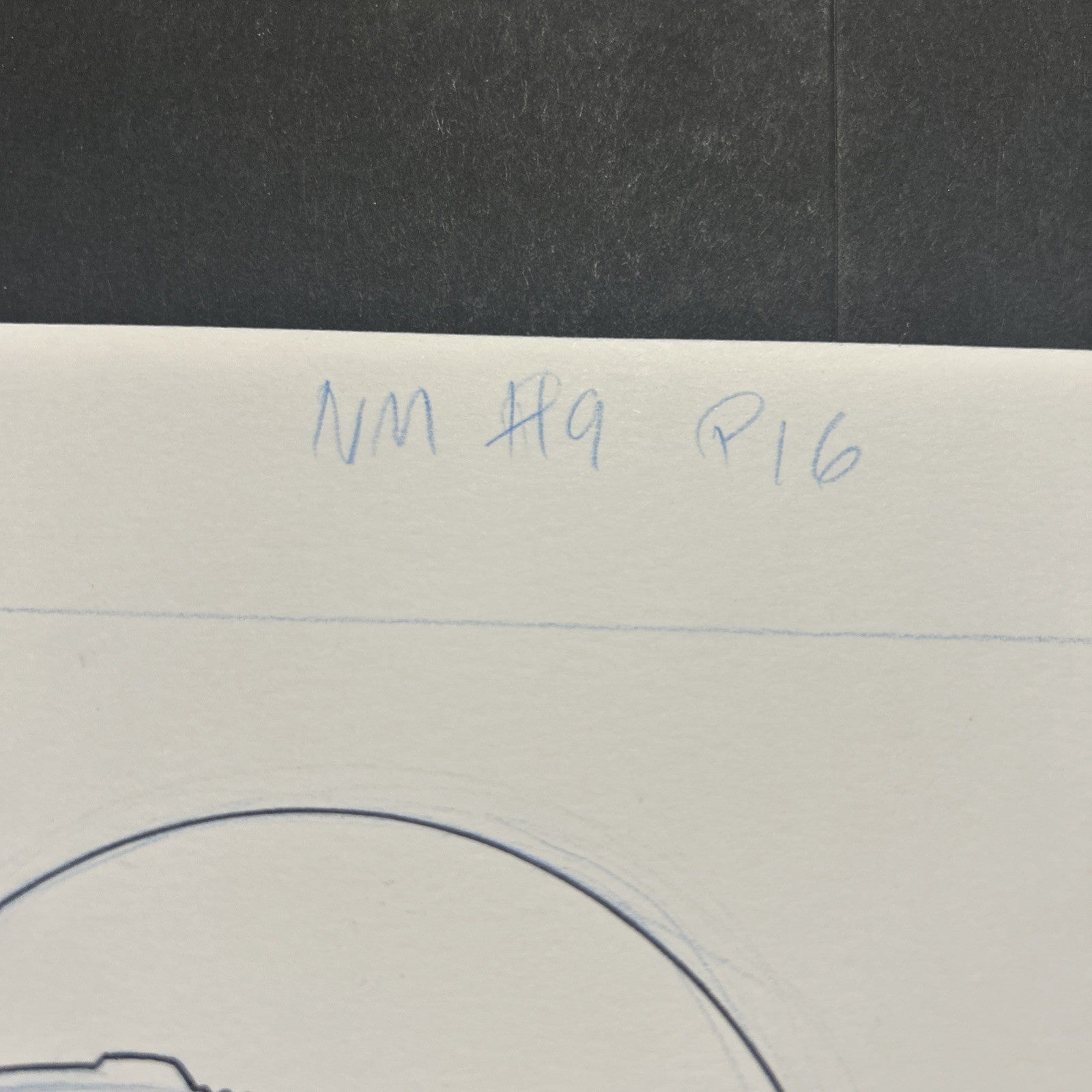 45530223