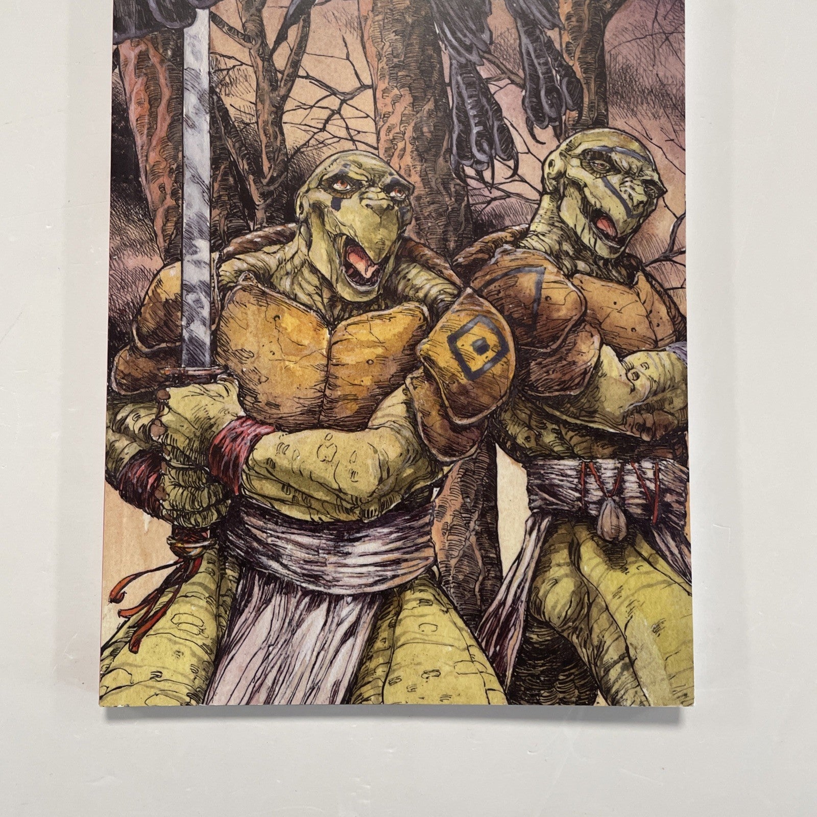 Teenage Mutant Ninja Turtles Soul's Winter 2007 Mirage Michael Zulli 1st Edition2