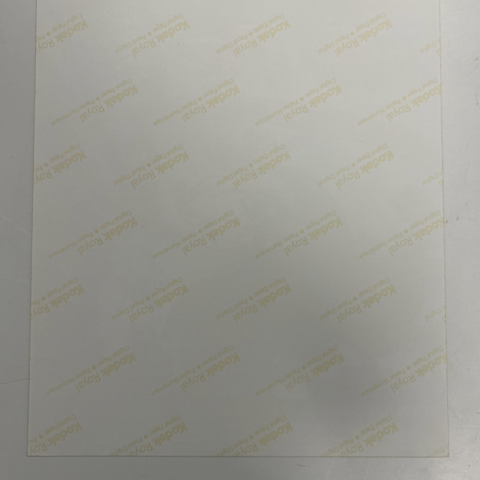 45106958