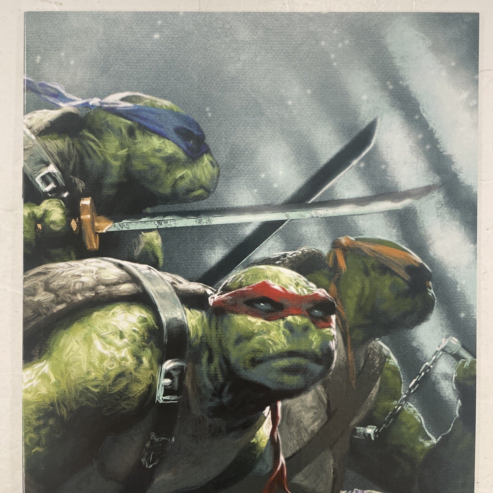 Teenage Mutant Ninja Turtles #98 2019 VF/NM RE Cover & Virgin Variant Dell'Otto6