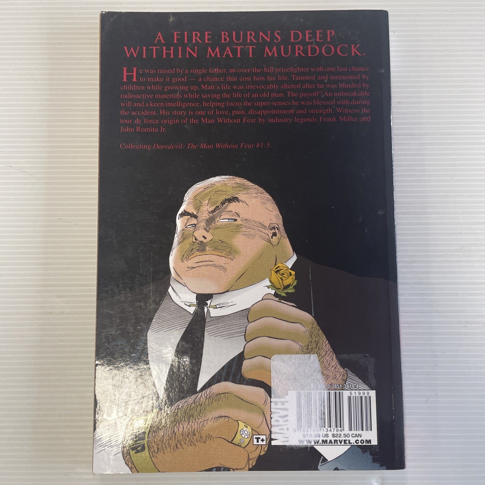 Daredevil: The Man without Fear 2010 TPB4