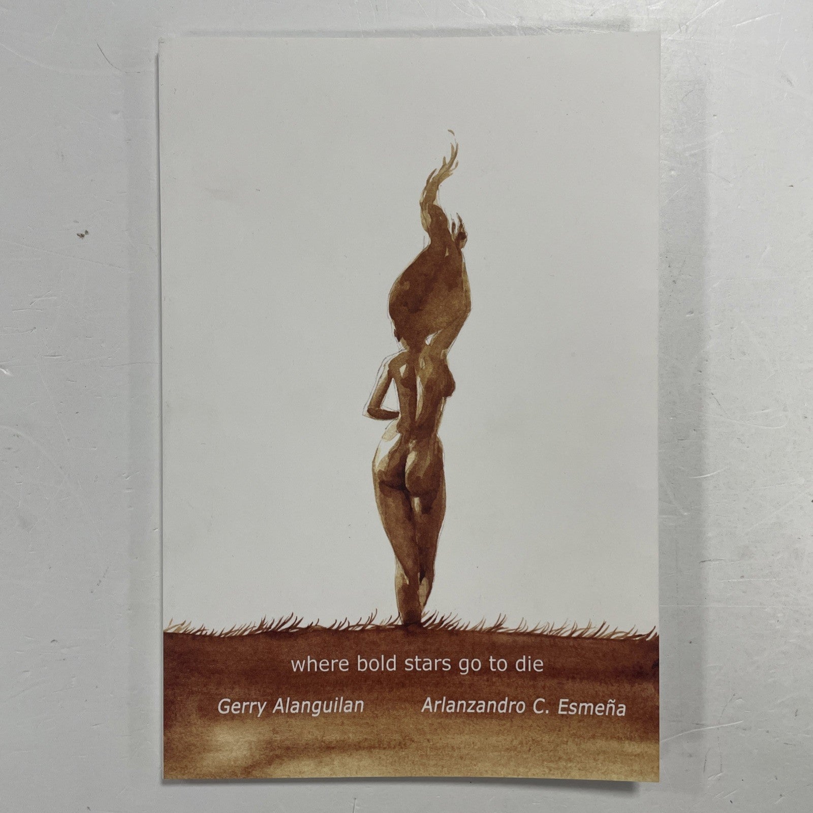 Where Bold Stars Go to Die 2013 1st Print, SLG, Slave Labor Graphics0