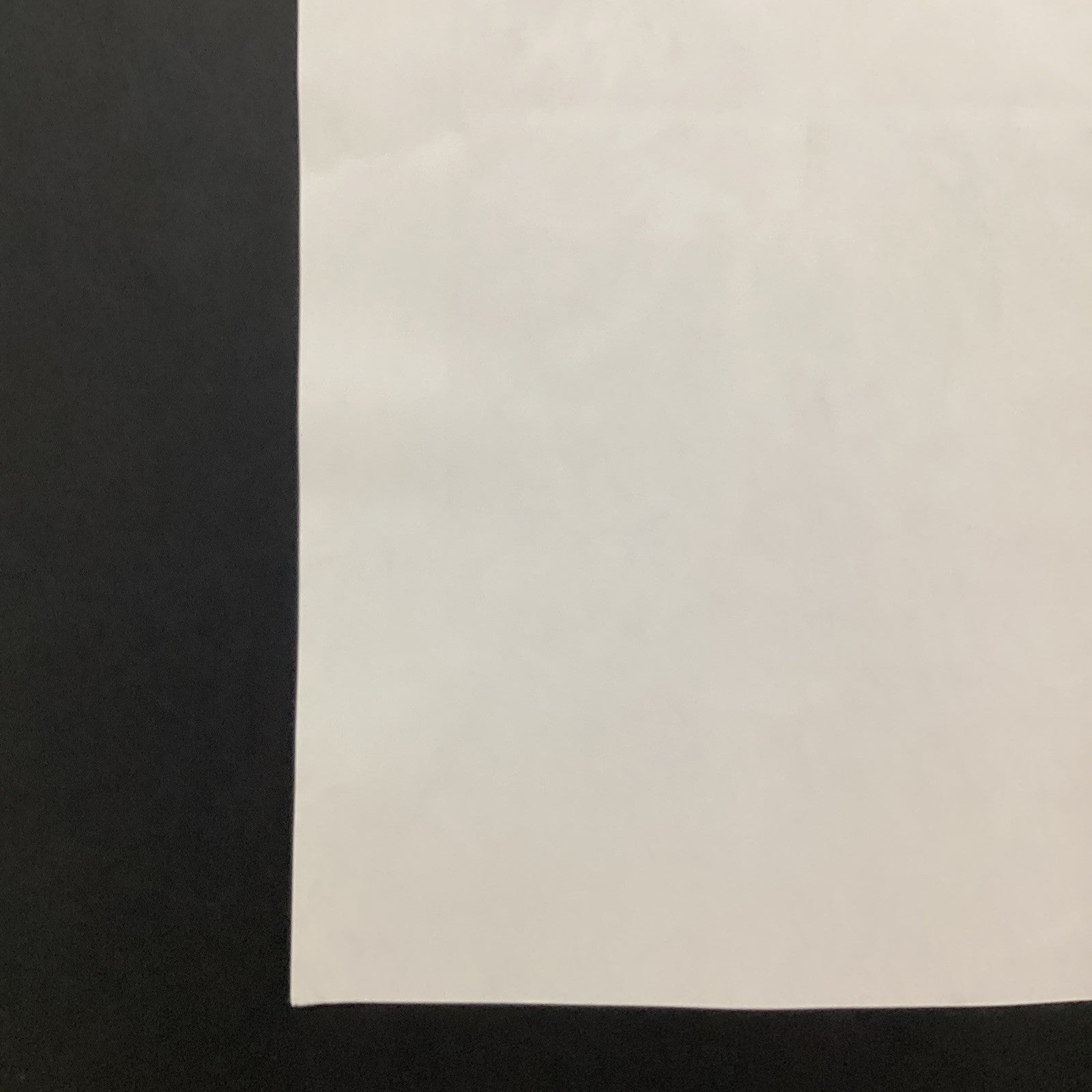 46020999