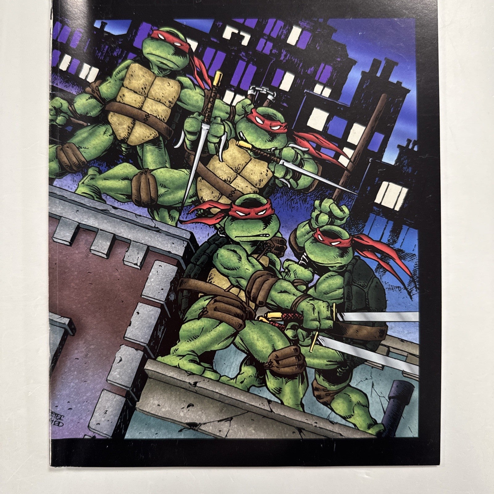 Teenage Mutant Ninja Turtles #1 2009 FN Full Colour 1st Print Mirage2