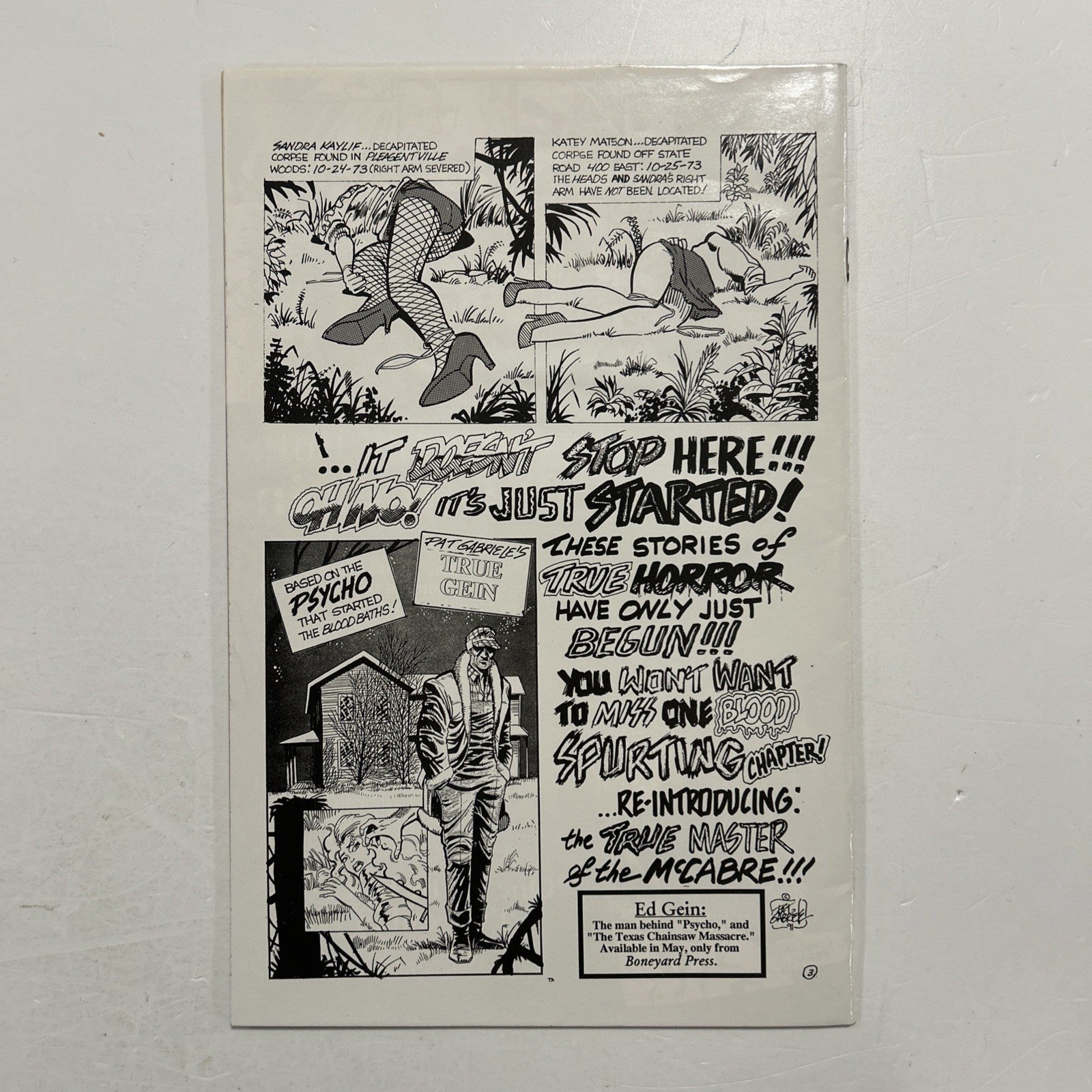 Dahmer's Zombie Squad #1 1993 FN Boneyard Press8