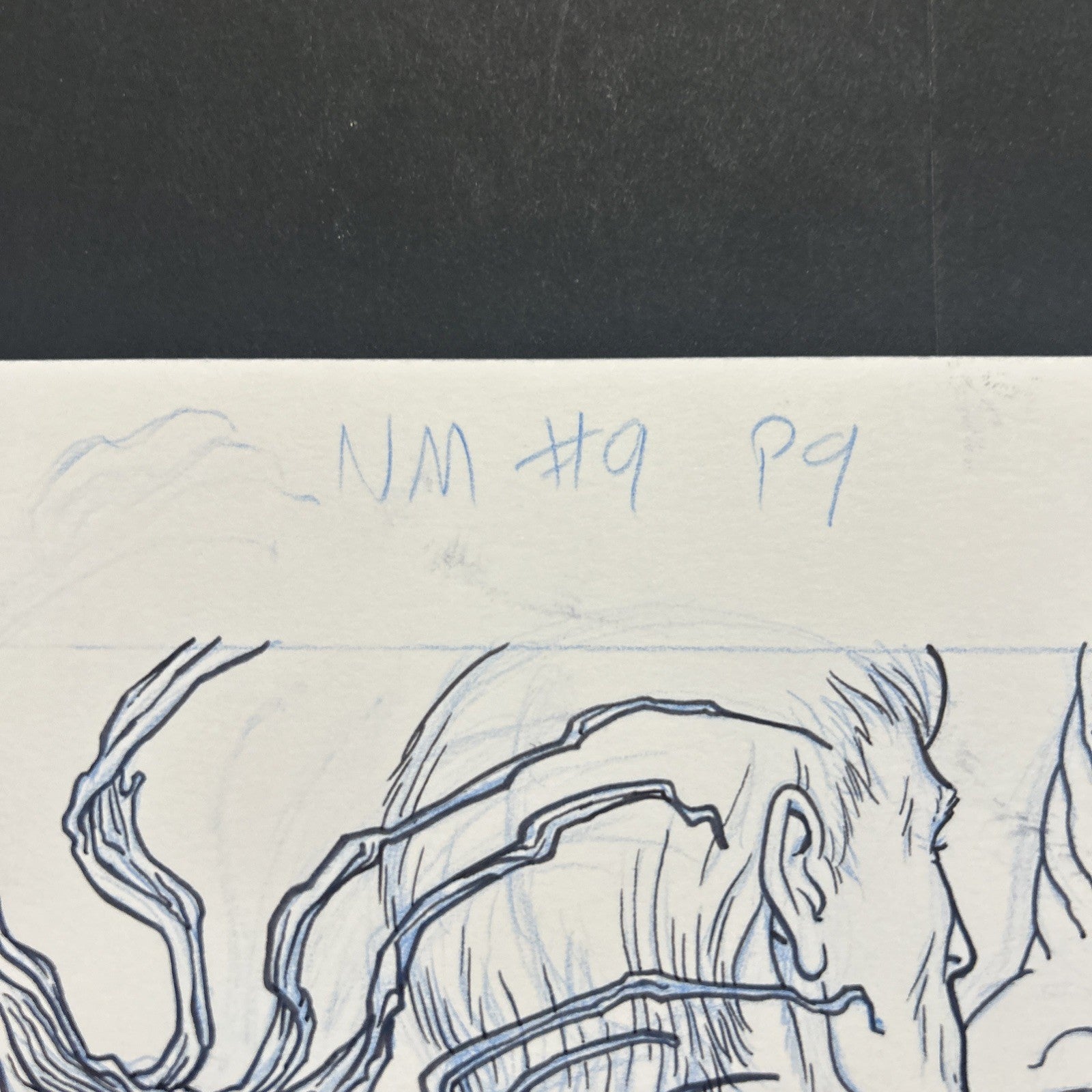 45530242