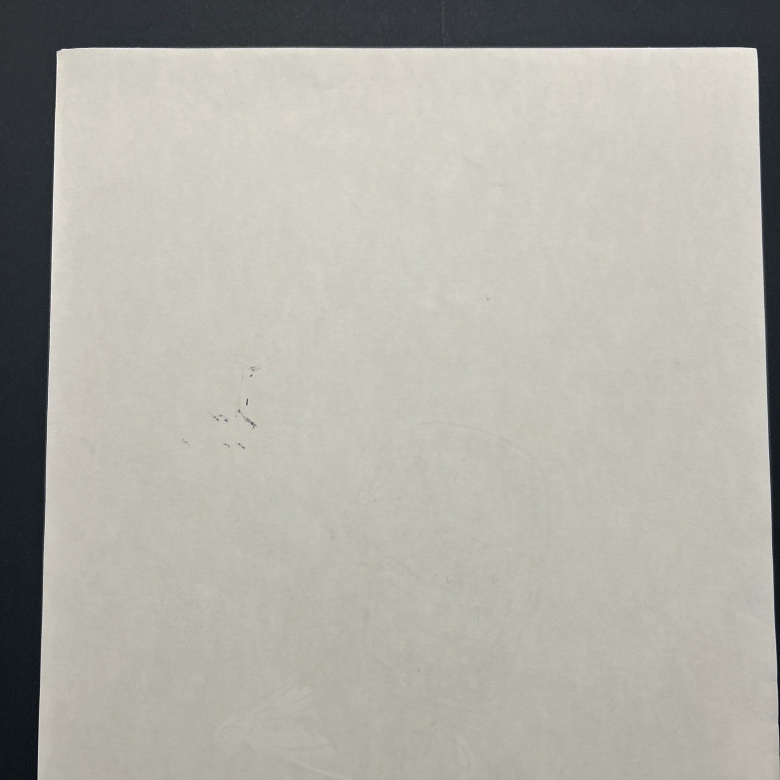 45106387