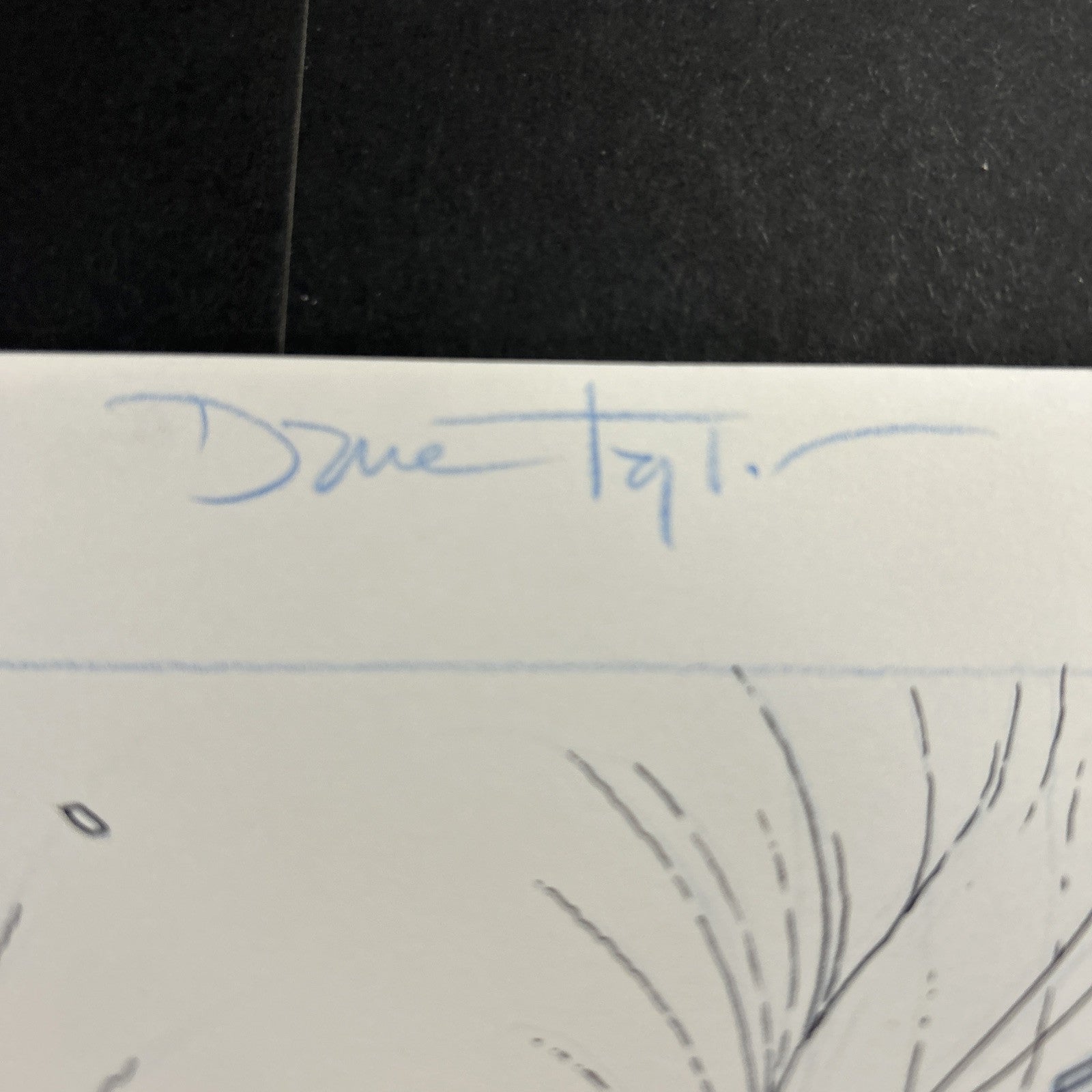 45518236