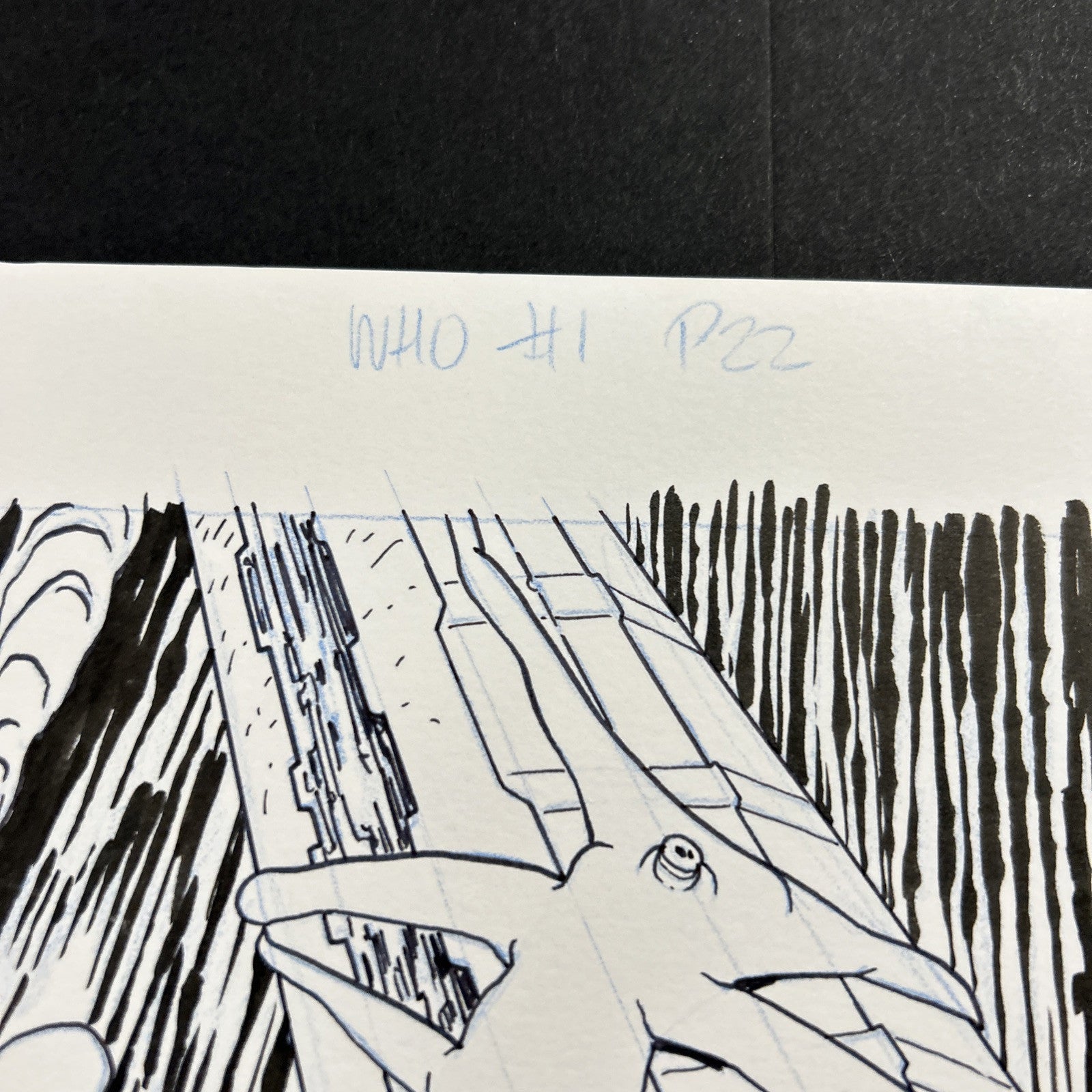 45518253