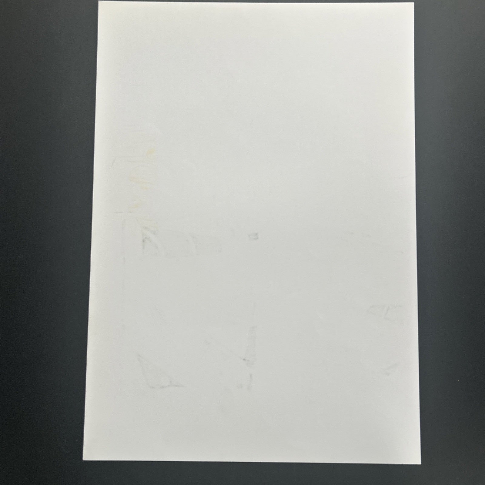 45106824