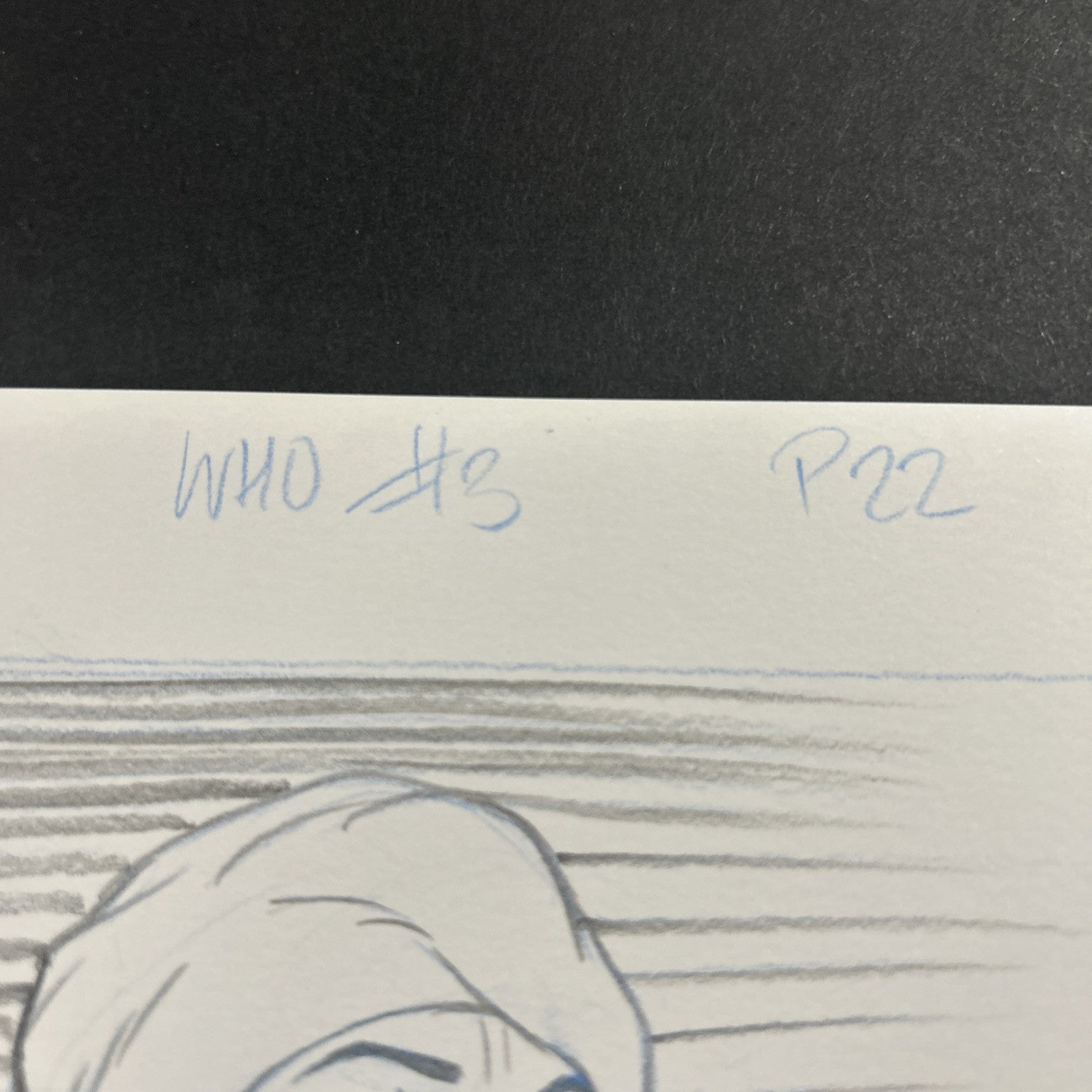 45518040